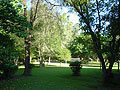 bosque
